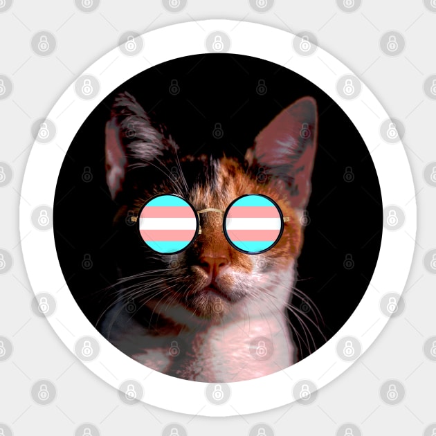 Cute Cat with Glasses Flag Sticker by Gedwolcraeft